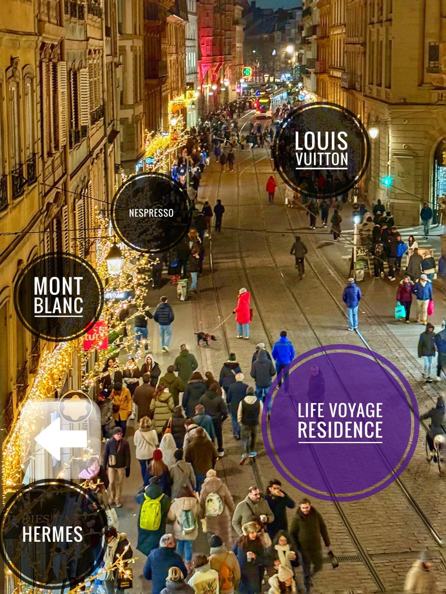 Life Voyage Residence & Spa - Strasbourg'S City Center Luxury Experience Екстер'єр фото